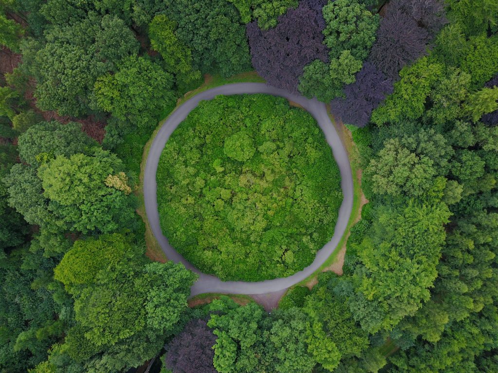 Aerial of a circular road in a forest