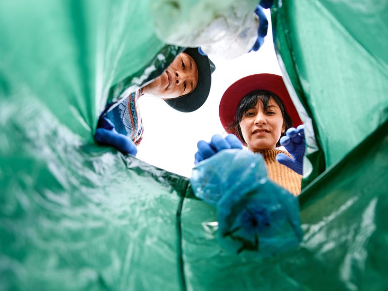 Pov,View,From,From,Inside,Of,A,Bag,Of,Latin